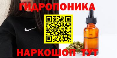 apvp Ярославль