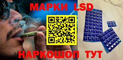 apvp Ярославль