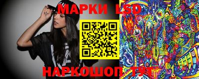 apvp Ярославль