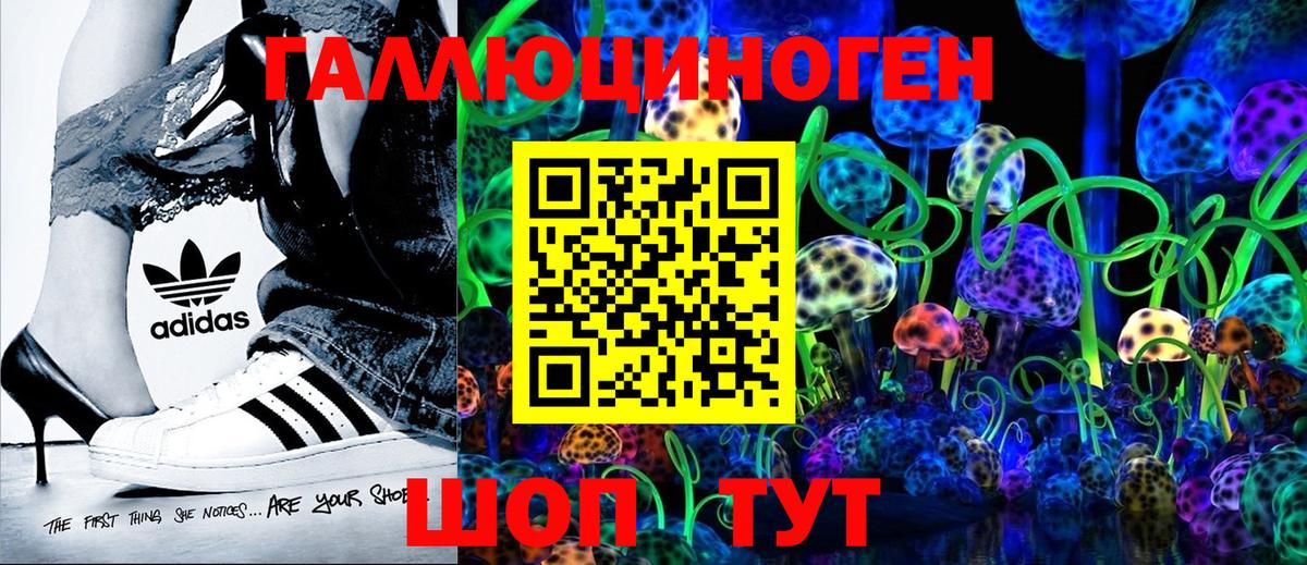 Ангарск  Псилоцибиновые грибы MAGIC MUSHROOMS  Вход с VPN 