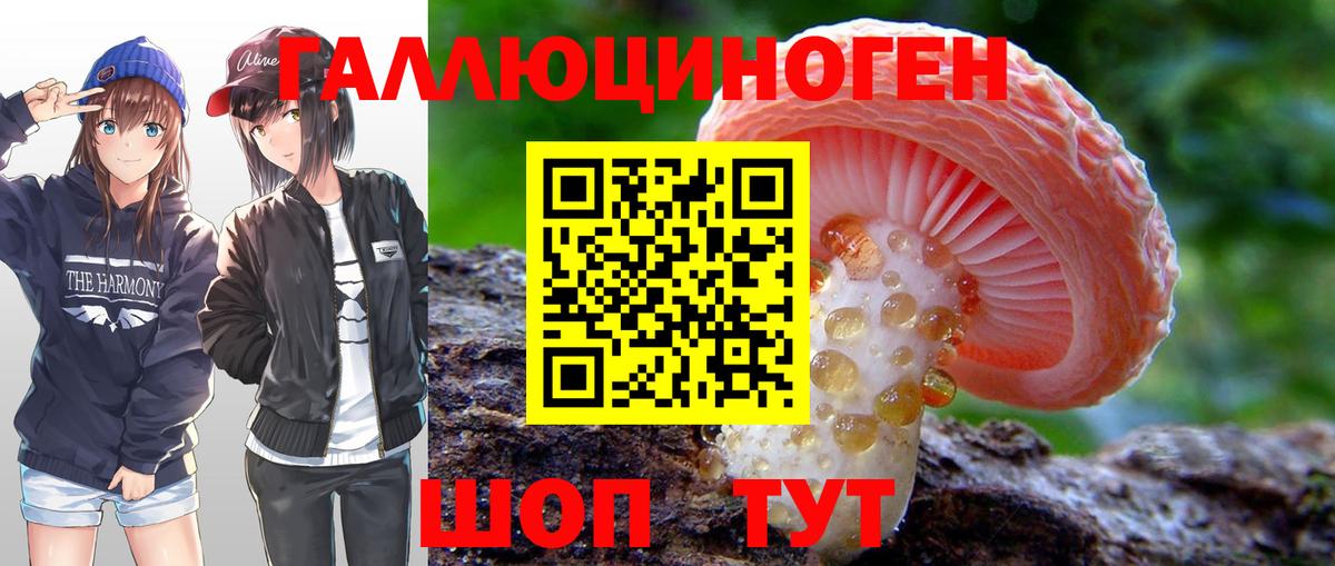 Галлюциногенные грибы Psilocybine cubensis Ангарск